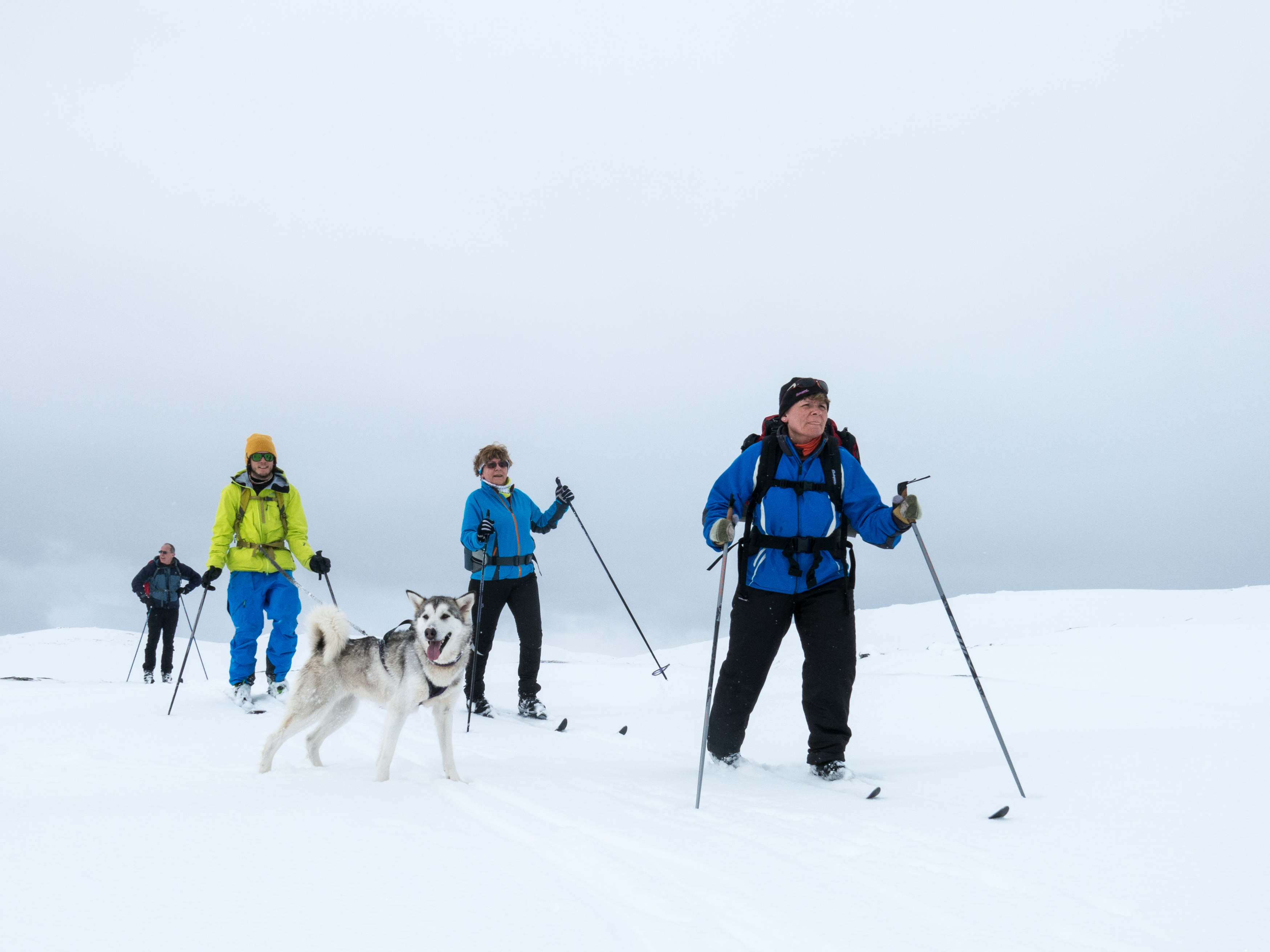 Ski(t)tur i Myrefjellet