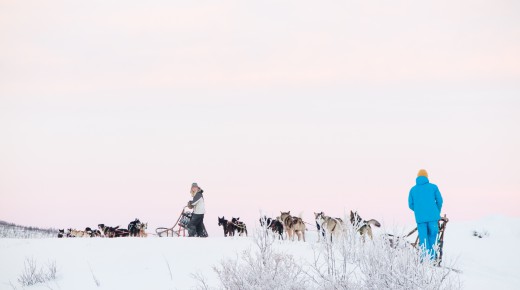 Hundekjøring i Kjervelvdalen