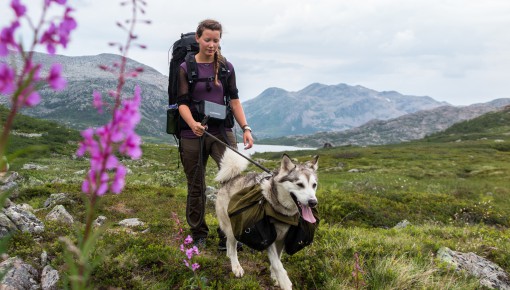 Utemagasinet: «Senja på langs»