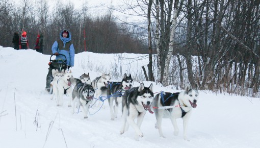 Troms Quest 2016